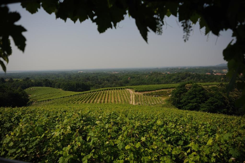 Locanda Villa Cavalleri Gattinara エクステリア 写真